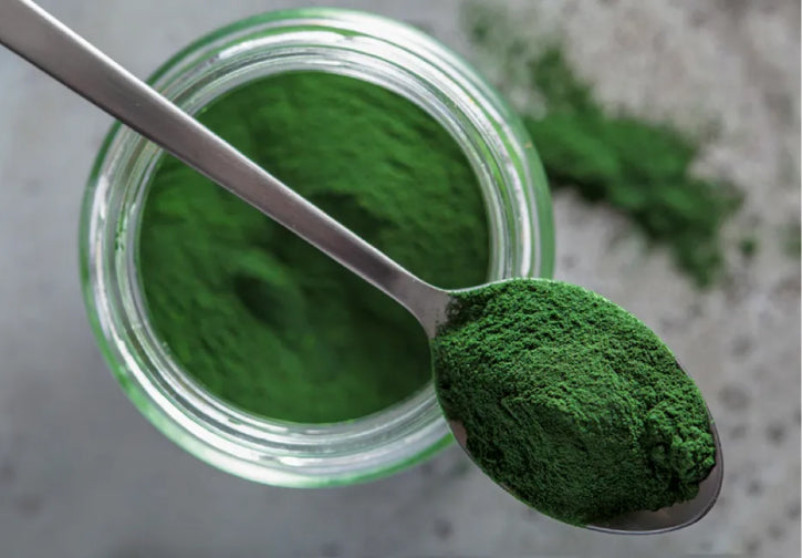 A silver spoon filled with a green powder sits across the top of a jar filled with more of the same green powder, illustrating the appearance of Chlorella in the Superfueled Greens powder. 